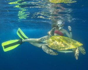 woman are snorkeling with turtle in Beach / Shoreline Snorkel