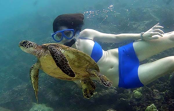 girl snorkeling with turtle in blue water