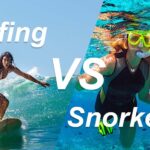 A lady is surfing on a surfboard, a lady and a little girl are snorkeling in the ocean, with the text "Surfing vs Snorkeling" displayed above them.