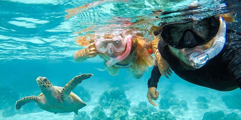 Two people snorkeling near a sea turtle in Maui’s clear waters – Turtle Town Maui Snorkeling Guide 2025