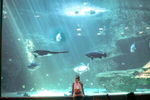 A woman visits the Maui Ocean Center and stands in front of a large aquarium tank filled with colorful fish and aquatic plants.